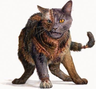 The Spooky Saga of the Dragon Cat Curse Unveiled